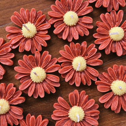 3 Fall Daisy