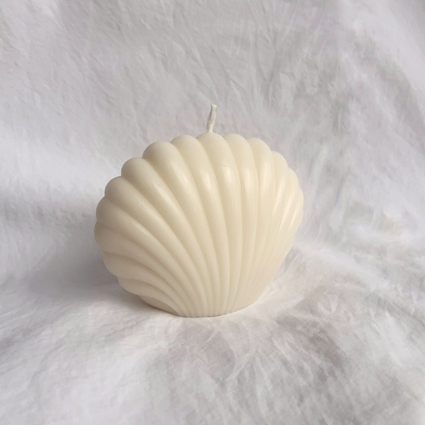 Seashell